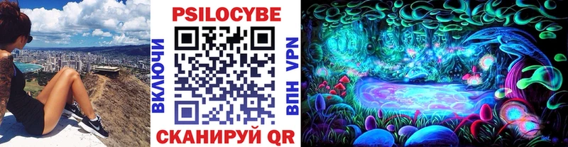 закладка  Бийск  mega как войти  Псилоцибиновые грибы Magic Shrooms 